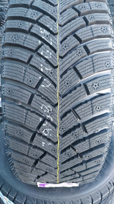 Зимние шины Nexen WINGUARD WINSPIKE 3 (под шип) 225/60 R16 0